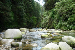 Two Hikes in One Album