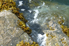 Two Hikes in One Album