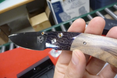 William Henry beauties