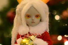 Christmas Chion