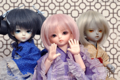 Hi, I am the new girl!