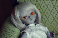 Wakeup Chigrumpy