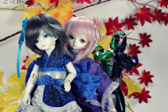 Fall Tinies GO!