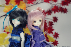 Fall Tinies GO!