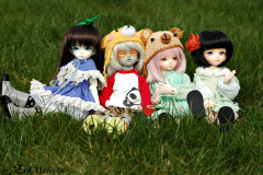 St. Patrick's Day meet