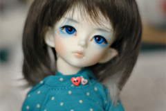 Hime in RoyalGray/SlateGray