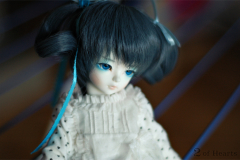 Hime on the wires