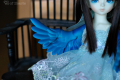 Hime with her wings
