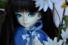 Hime