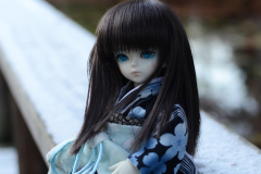 Snow Hime