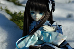 Snow Hime