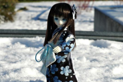 Snow Hime