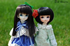 St. Patrick's Day meet