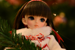 Christmas Chion