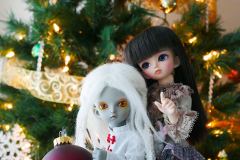 My Christmas Dollies