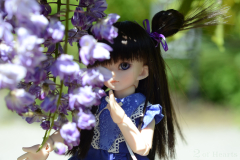 Pretty Shion