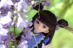 Pretty Shion
