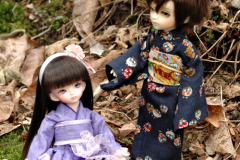 Sakura Days Meet