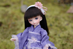 Sakura Days Meet