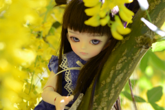 Shion climbing a tree
