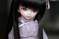 Shion, now in daylight!