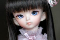 Shion, now in daylight!