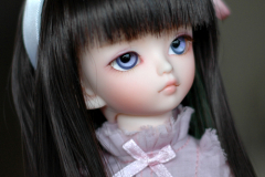 Shion, now in daylight!