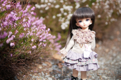 Shion