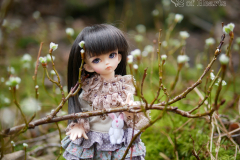 Shion