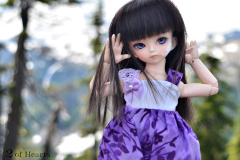 Shion