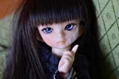 Shion
