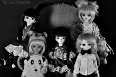 Teenie Gem Group