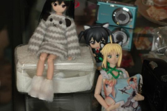 st-pattys-day-meet_5542196530_o