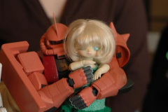 st-pattys-day-meet_5542196702_o