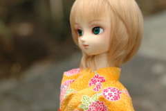 Sakura Days Meet