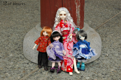 Sakura Days Meet