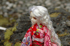Sakura Days Meet