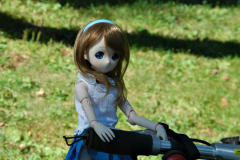 Queen Elizabeth Park picnic