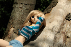 Queen Elizabeth Park picnic