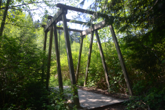 Malcolm Knapp Research Forest