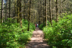 malcolm-knapp-research-forest_7234503024_o