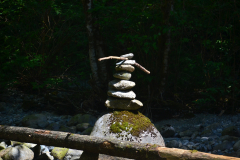 Malcolm Knapp Research Forest