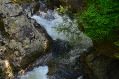 Malcolm Knapp Research Forest