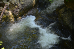 Malcolm Knapp Research Forest