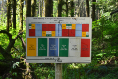 Malcolm Knapp Research Forest