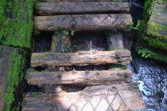 Brothers Creek Trail