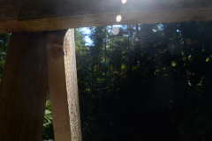 Brothers Creek Trail