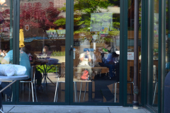 Brothers Creek Trail