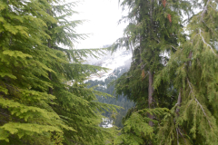 Peaking to see the snow