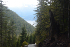 turn-around_7391715548_o